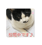 にゃんともしあわせ♡（個別スタンプ：4）