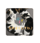 にゃんともしあわせ♡（個別スタンプ：5）