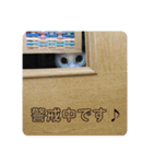 にゃんともしあわせ♡（個別スタンプ：7）