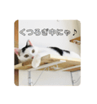 にゃんともしあわせ♡（個別スタンプ：8）