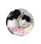 にゃんともしあわせ♡（個別スタンプ：9）