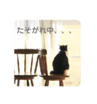 にゃんともしあわせ♡（個別スタンプ：12）