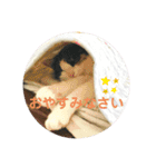 にゃんともしあわせ♡（個別スタンプ：13）