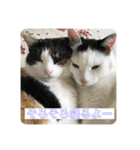 にゃんともしあわせ♡（個別スタンプ：14）