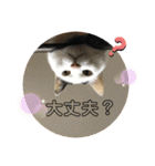 にゃんともしあわせ♡（個別スタンプ：19）