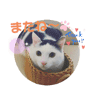 にゃんともしあわせ♡（個別スタンプ：20）