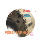 にゃんともしあわせ♡（個別スタンプ：21）