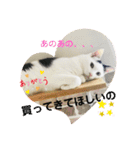 にゃんともしあわせ♡（個別スタンプ：23）