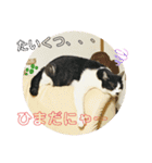 にゃんともしあわせ♡（個別スタンプ：25）