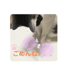 にゃんともしあわせ♡（個別スタンプ：26）