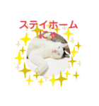 にゃんともしあわせ♡（個別スタンプ：28）