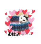 にゃんともしあわせ♡（個別スタンプ：30）