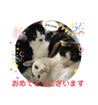 にゃんともしあわせ♡（個別スタンプ：32）