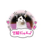 ゆるゆるとした日常（個別スタンプ：3）