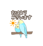 インコのごあいさつ（個別スタンプ：1）