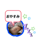Babyboy、、（個別スタンプ：17）