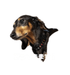 前田チョコラ∩^ω^∩（個別スタンプ：14）
