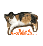 猫のお姫様 ありす（個別スタンプ：4）