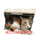 猫のお姫様 ありす（個別スタンプ：6）