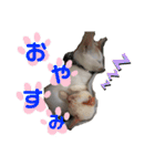 ゆきばろ大和（個別スタンプ：5）