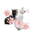 ゆきばろ大和（個別スタンプ：9）