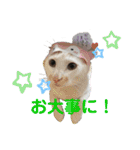ゆきばろ大和（個別スタンプ：13）