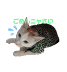 ゆきばろ大和（個別スタンプ：15）