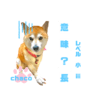 四字熟語のお勉強 レベル小 ⅲ（個別スタンプ：1）