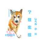 四字熟語のお勉強 レベル小 ⅲ（個別スタンプ：3）