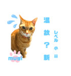 四字熟語のお勉強 レベル小 ⅲ（個別スタンプ：9）