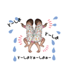マーガレット ②（個別スタンプ：10）