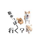 ドックパートナーズ（個別スタンプ：1）