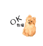 ドックパートナーズ（個別スタンプ：9）