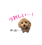 ドックパートナーズ（個別スタンプ：15）
