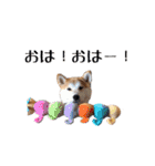ドックパートナーズ（個別スタンプ：20）