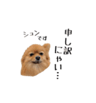 ドックパートナーズ（個別スタンプ：25）