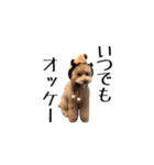 ドックパートナーズ（個別スタンプ：26）