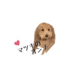 ドックパートナーズ（個別スタンプ：28）