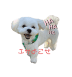 北川ちょこちゃんスタンプ（個別スタンプ：1）