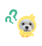 北川ちょこちゃんスタンプ（個別スタンプ：2）