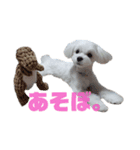 北川ちょこちゃんスタンプ（個別スタンプ：4）