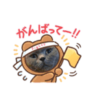 ビッキーちゃん スタンプ（個別スタンプ：13）
