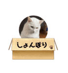 はくちゃんラヴ 3（個別スタンプ：14）