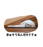 はくちゃんラヴ 3（個別スタンプ：16）