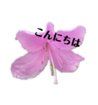 お花だよ✨（個別スタンプ：1）