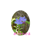 お花だよ✨（個別スタンプ：5）