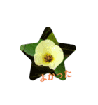 お花だよ✨（個別スタンプ：8）