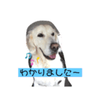 スタンプになって働くニャン（個別スタンプ：2）