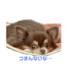 てぃらたろう（個別スタンプ：5）