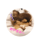 てぃらたろう（個別スタンプ：6）